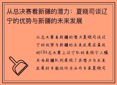 从总决赛看新疆的潜力：夏晓司谈辽宁的优势与新疆的未来发展
