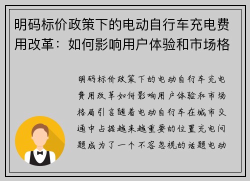明码标价政策下的电动自行车充电费用改革：如何影响用户体验和市场格局
