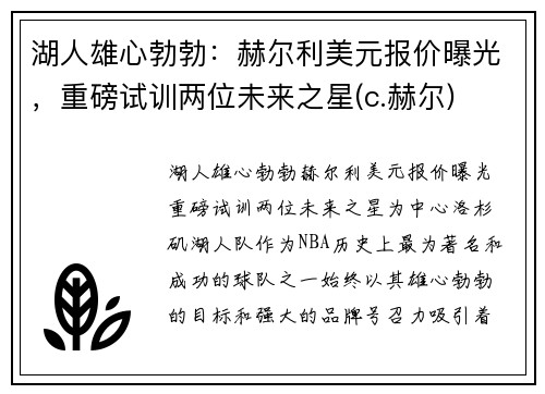 湖人雄心勃勃：赫尔利美元报价曝光，重磅试训两位未来之星(c.赫尔)
