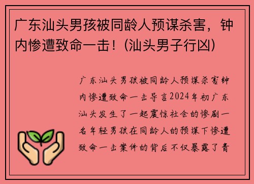 广东汕头男孩被同龄人预谋杀害，钟内惨遭致命一击！(汕头男子行凶)