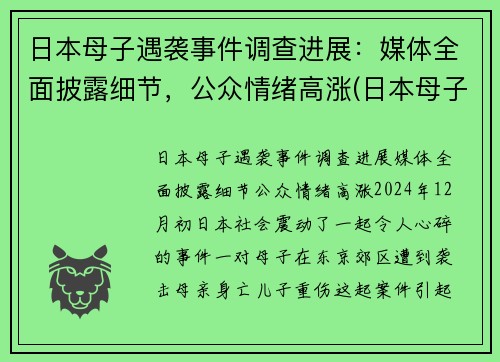 日本母子遇袭事件调查进展：媒体全面披露细节，公众情绪高涨(日本母子四人火灾)